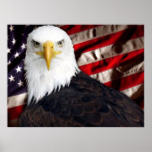 USA Eagle Patriotic Poster (Voorkant)