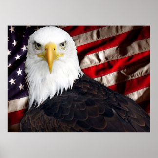USA Eagle Patriotic Poster