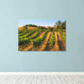 USA, Eastern Washington, Walla Walla Vineyards Canvas Afdruk (Insitu (Houten vloer))