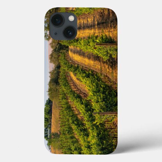 USA, Eastern Washington, Walla Walla Vineyards Case-Mate iPhone Case (Achterkant)