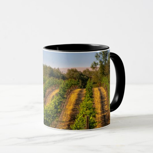 USA, Eastern Washington, Walla Walla Vineyards Mok (Voorkant rechts)