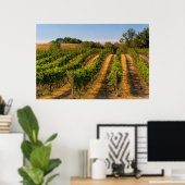 USA, Eastern Washington, Walla Walla Vineyards Poster (Thuiskantoor)