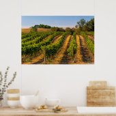 USA, Eastern Washington, Walla Walla Vineyards Poster (Keuken)