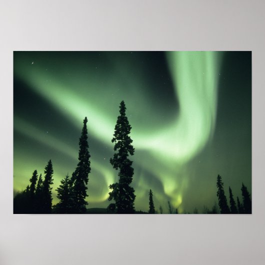 USA, Fairbanks area, Central Alaska, Aurora 2 Poster (Voorkant)