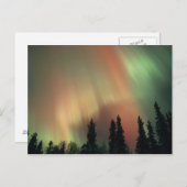 USA, Fairbanks area, Central Alaska, Aurora 3 Briefkaart (Voorkant / Achterkant)