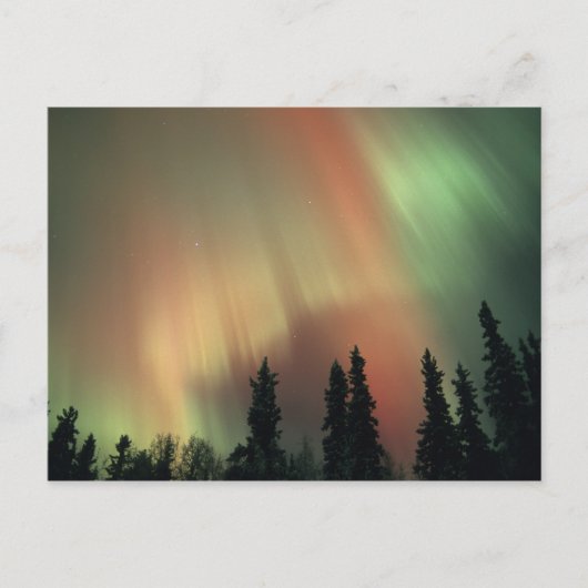 USA, Fairbanks area, Central Alaska, Aurora 3 Briefkaart (Voorkant)