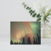 USA, Fairbanks area, Central Alaska, Aurora 3 Briefkaart (Staand voorkant)