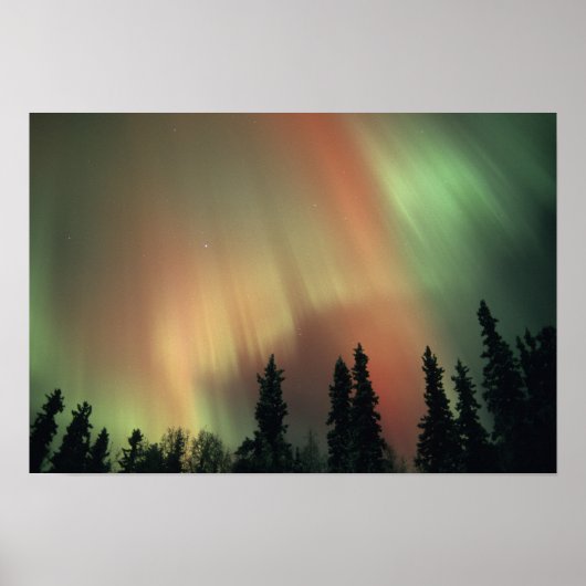 USA, Fairbanks area, Central Alaska, Aurora 3 Poster (Voorkant)