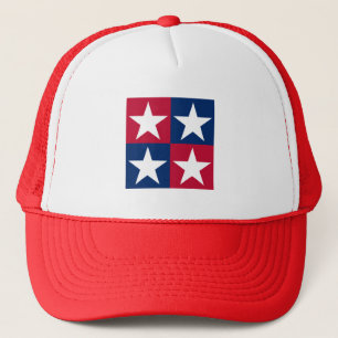 USA Flag Pop Art Stars Trucker Pet