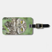 USA, Florida, Cape Coral, Burrowing Owl (Athene) Bagagelabel (Voorkant horizontaal)