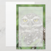 USA, Florida, Cape Coral, Burrowing Owl (Athene) Briefpapier (Voorkant / Achterkant)