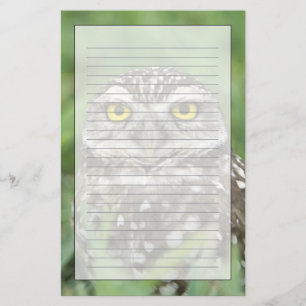 USA, Florida, Cape Coral, Burrowing Owl (Athene) Briefpapier