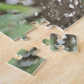 USA, Florida, Cape Coral, Burrowing Owl (Athene) Legpuzzel (Zijkant)