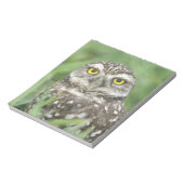 USA, Florida, Cape Coral, Burrowing Owl (Athene) Notitieblok (Linkerzijde)