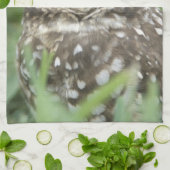 USA, Florida, Cape Coral, Burrowing Owl (Athene) Theedoek (Gevouwen)