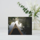 USA, Florida, Ocala National Forest, Alexander Briefkaart (Staand voorkant)