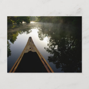 USA, Florida, Ocala National Forest, Alexander Briefkaart