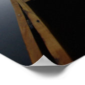 USA, Florida, Ocala National Forest, Alexander Poster (Hoek)