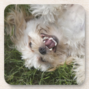 USA, Florida, Ponte Vedra Beach Onderzetter