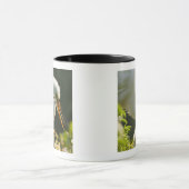 USA, Florida, St. Augustine, Alligator boerderij Mok (Midden)