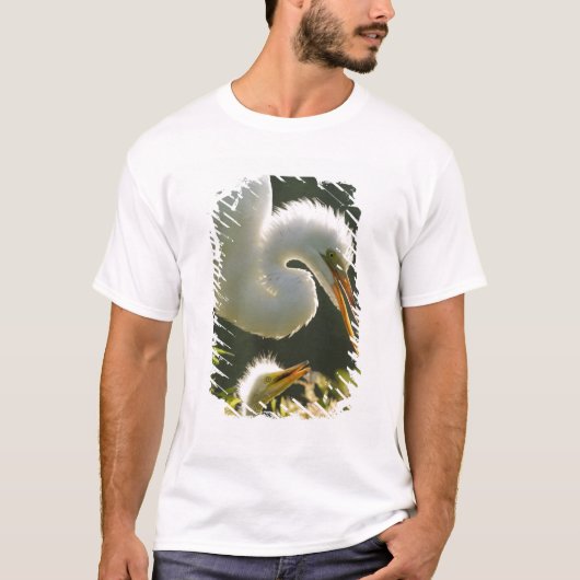 USA, Florida, St. Augustine, Alligator boerderij T-shirt (Voorkant)
