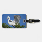 USA, Florida, St. Augustine, Egret Bagagelabel (Voorkant horizontaal)