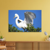 USA, Florida, St. Augustine, Egret Canvas Afdruk (Insitu (Woonkamer))