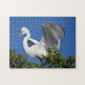 USA, Florida, St. Augustine, Egret Legpuzzel (Horizontaal)