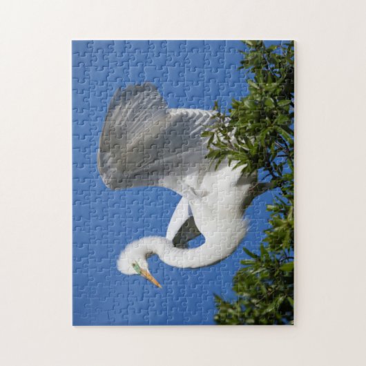 USA, Florida, St. Augustine, Egret Legpuzzel (Verticaal)
