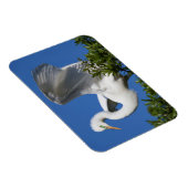 USA, Florida, St. Augustine, Egret Magneet (Rechterzijde)