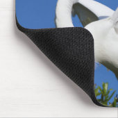 USA, Florida, St. Augustine, Egret Muismat (Hoek)