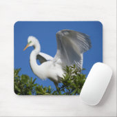 USA, Florida, St. Augustine, Egret Muismat (Met muis)