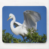 USA, Florida, St. Augustine, Egret Muismat (Voorkant)