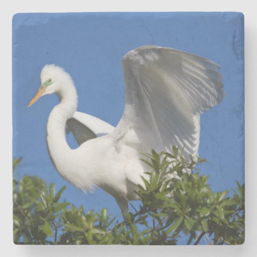 USA, Florida, St. Augustine, Egret Stenen Onderzetter (Voorkant)