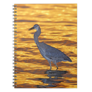 USA, Florida, St. Petersburg, Fort de Soto Park. Notitieboek