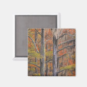 USA, Georgia, George Smith State Park, Cypress Magneet (Voorkant / Achterkant)