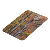 USA, Georgia, George Smith State Park, Cypress Magneet (Linkerzijde)