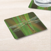 USA, Georgia. Green darner draairy on reeds Kartonnen Onderzetters (Schuin)