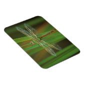 USA, Georgia. Green darner draairy on reeds Magneet (Rechterzijde)