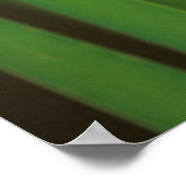 USA, Georgia. Green darner draairy on reeds Poster (Hoek)