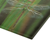 USA, Georgia. Green darner draairy on reeds Snijplank (Hoek)