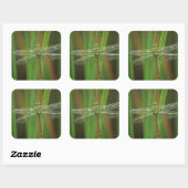 USA, Georgia. Green darner draairy on reeds Vierkante Sticker (Vel)