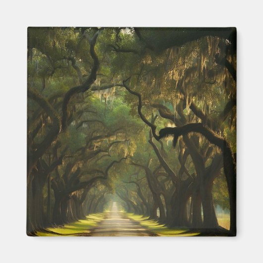 USA, Georgia, Savannah, Een eiken gevoerde rit Magneet (Voorkant)