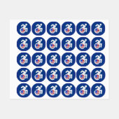 USA Handicapped Labels (Vel)