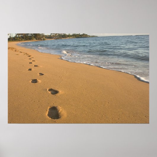 USA, Hawaii, Kauai, Kapa'a, beachfront. RF) Poster (Voorkant)