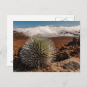 USA, Hawaii, Maui, Haleakala National Park Briefkaart (Voorkant / Achterkant)