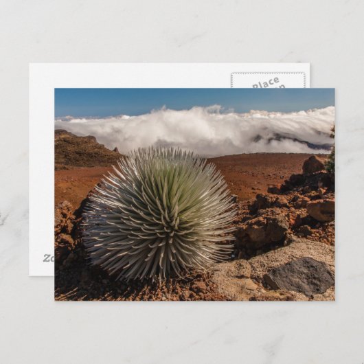 USA, Hawaii, Maui, Haleakala National Park Briefkaart (Voorkant / Achterkant)