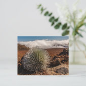 USA, Hawaii, Maui, Haleakala National Park Briefkaart (Staand voorkant)