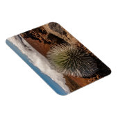 USA, Hawaii, Maui, Haleakala National Park Magneet (Rechterzijde)