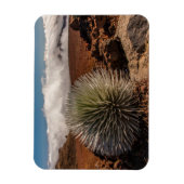 USA, Hawaii, Maui, Haleakala National Park Magneet (Verticaal)